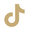 TikTok Icon