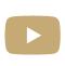 YouTube Icon